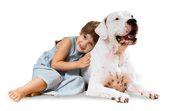 big dog with child