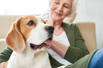 senior citizen with dog