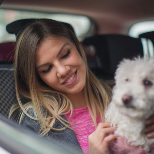 woman with dog in car